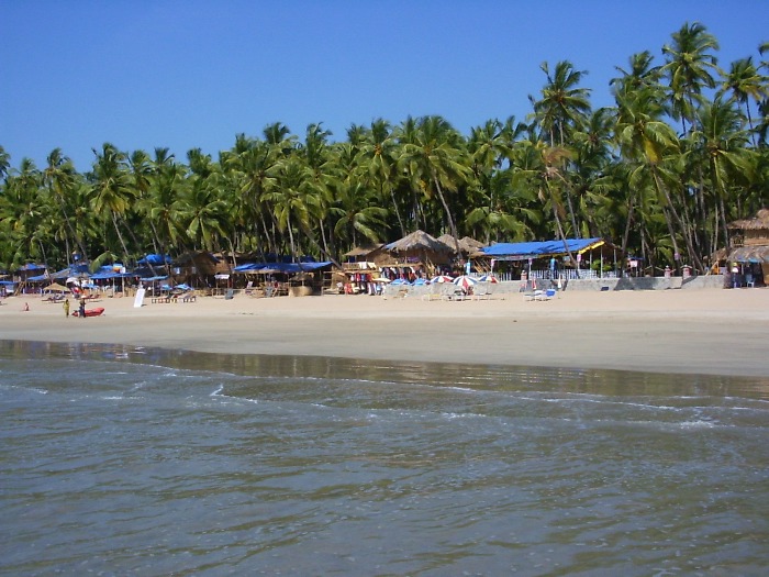 The beach and the coconut palms