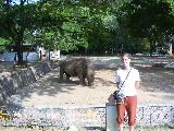 Hélène devant le rhinocéros