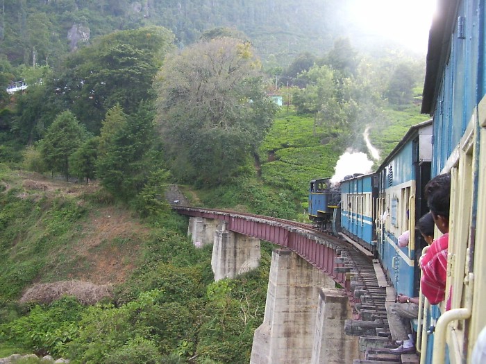 The train of the Rain Forest