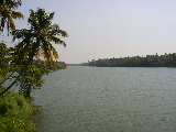 Une rivière près de Cochin