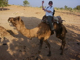 Emilie during our Camel Ride