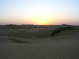 Le désert du Rajasthan au coucher du soleil