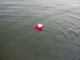 A candle floating on the Ganga