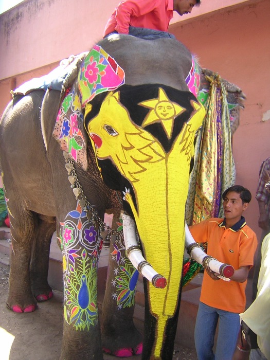 Elephant decorated for the Jaipur Elephant Festival
