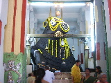 Vache géante à l'intérieur du temple