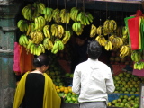 Fruit merchant