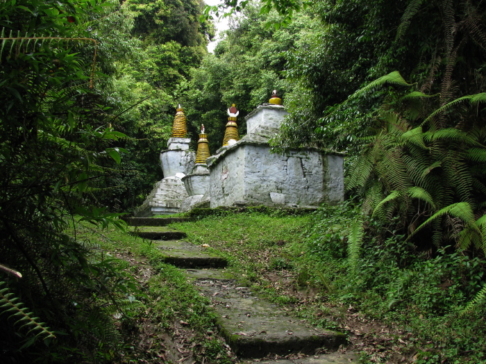 Stupas sur chemin du monastère Pemayangtse