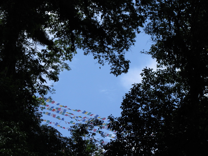 Prayer flags in the sky