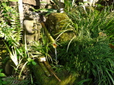 Petite fontaine dans un jardin