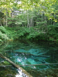 Eau transparente de l'étang Kaminoko