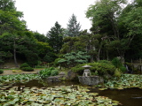 Manabe Garden