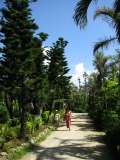 Botanical garden of Yufu-jima