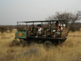 Un bus de safari