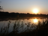 Lever du soleil sur le fleuve Okavango