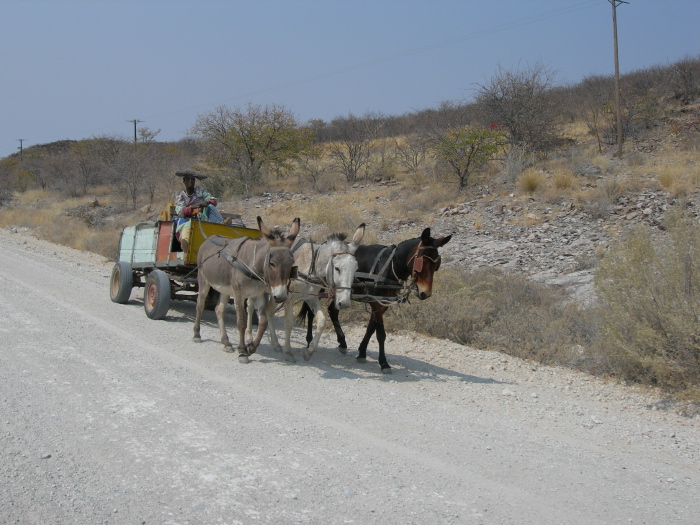 Une charrette sur la route pour Opuwo