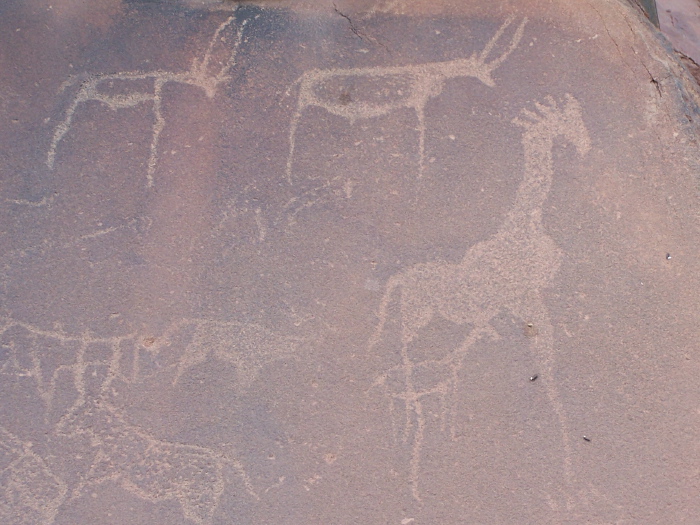 Animals drawn more than 5000 years ago