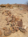 Blocks of fossilized wood