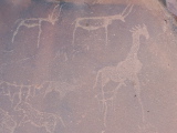 Animaux dessinés il y a plus de 5000 ans