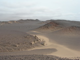 Dunes noires