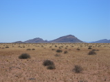 Landscape outside the canyon