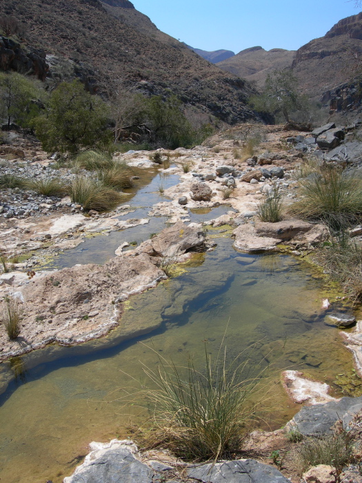 Partially dry river