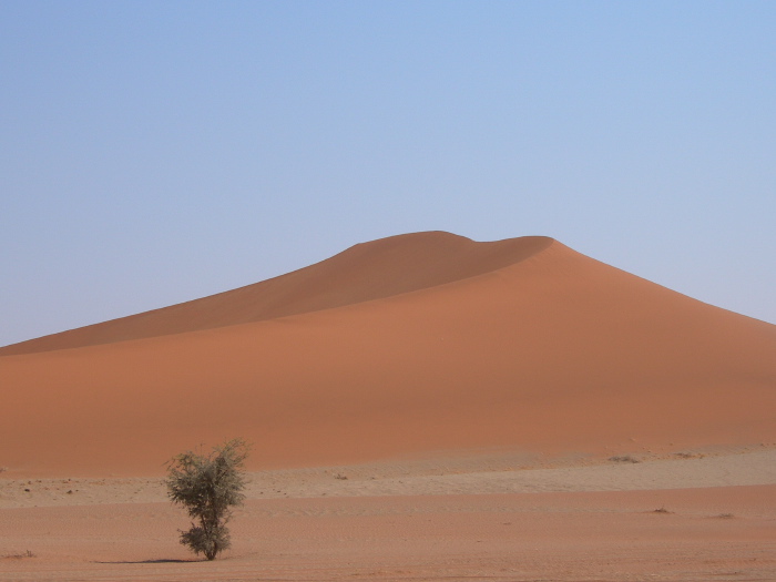 Une petite dune
