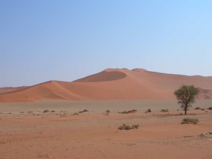 La dune 17  à l'entrée de Sossusvlei
