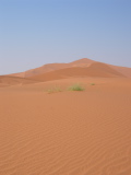 Des dunes