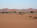 Landscape on the way to Dead Vlei