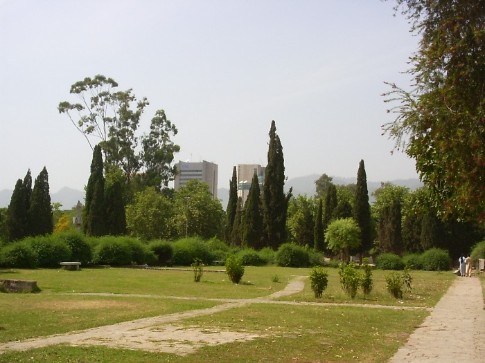 A public garden