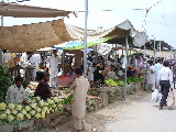 Le marché des légumes